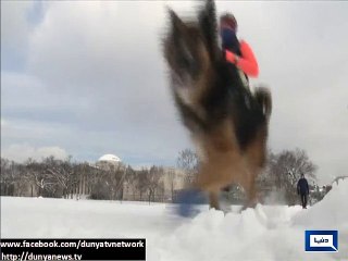 Dunya News - Massive snowball fight breaks out in Washington D.C.