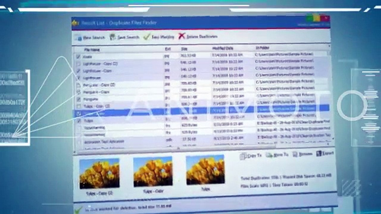 Free Duplicate File Finder