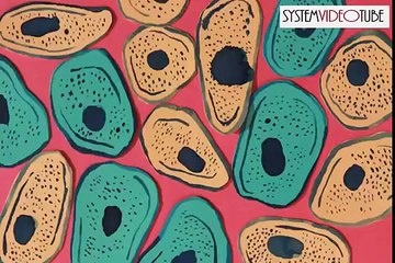 What is Systems Engineering