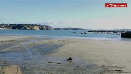 Crozon. Grandes marées : le port de Morgat s'est préparé