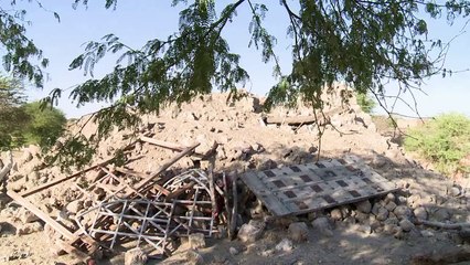 From Timbuktu to the Oscars, film shows life under Islamists