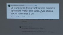 Terrorisme: comment réguler les réseaux sociaux?