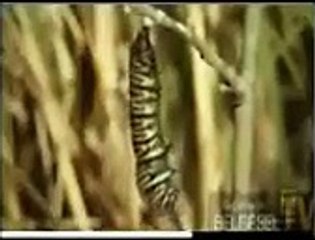 Khuda ki Qudrat- Video Dailymotion