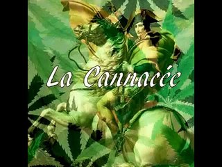 La Cannacée, histoire du cannabis (PARTIE 1) (FR)