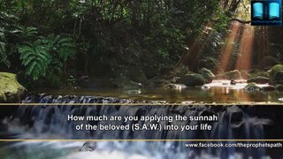 [ENG] Whats Wrong If You Follow Sunnah - Maulana Tariq Jameel [EMOTIONAL]