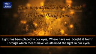 How ungrateful is the Human   Maulana Tariq Jameel [ENG]