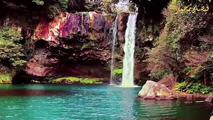 The Munafiqs  hypocrites