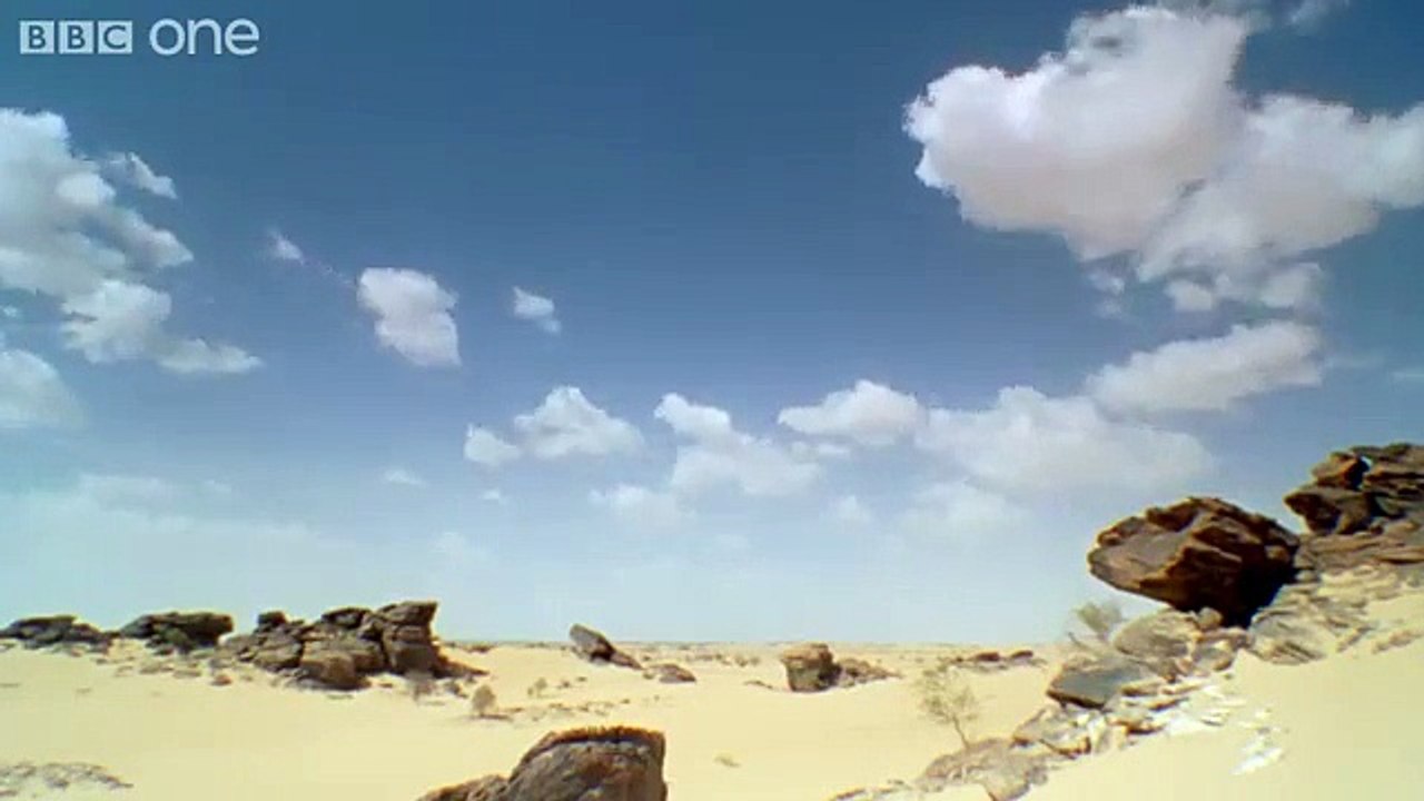 La réaction de ce crapeau quand on le touche.