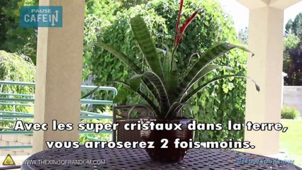 Utilisez des couches pour bébé afin obtenir une terre super absorbantes pour vos plantes