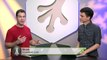 Icon Fonts   Flight Framework   Unsemantic CSS Grid   The Treehouse Show Episode 28