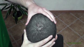 ASMR Scalp Massage