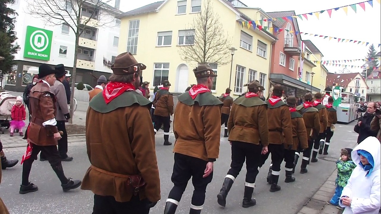 Karneval 2015 in Stockach.