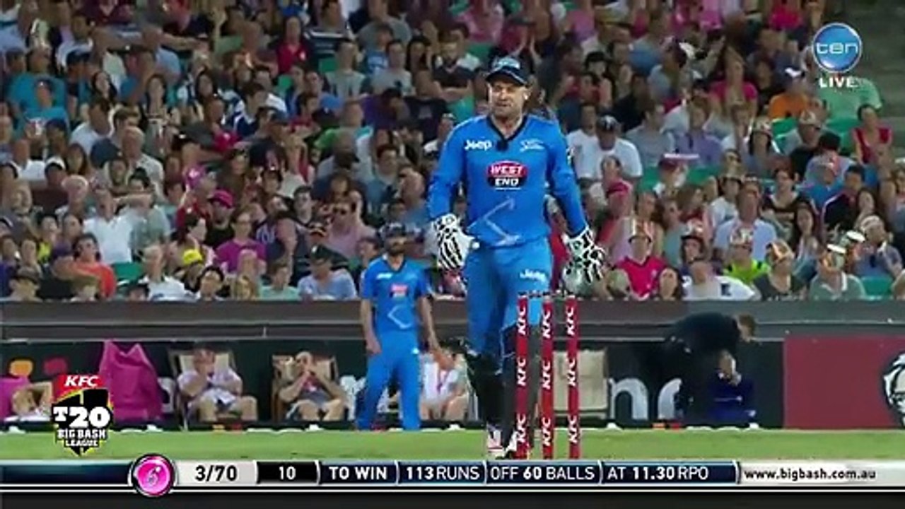 You might have seen a lot of unusual things in  cricket but this is New