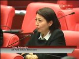AKParti Ankara Milletvekili Tülay Selamoğlu, Özgecan ASLAN Cinayeti Taziye Mesajı