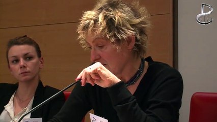 MARIE SALLANTIN 30 ans de création dirigée par l'Etat, SÉNAT janvier 2013 - SAUVONS L'ART