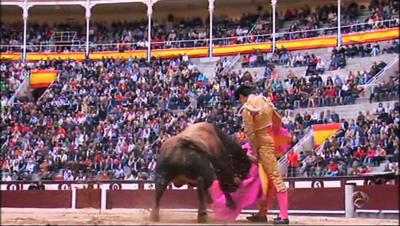 Extreme Bull Riding and Bull Fighting Fail Compilation