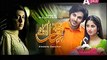 Chupkay Say Bahaar Ajaye Episode 18 on Aplus  - 13th February 2015 - Pakistani Drama - Entertainment