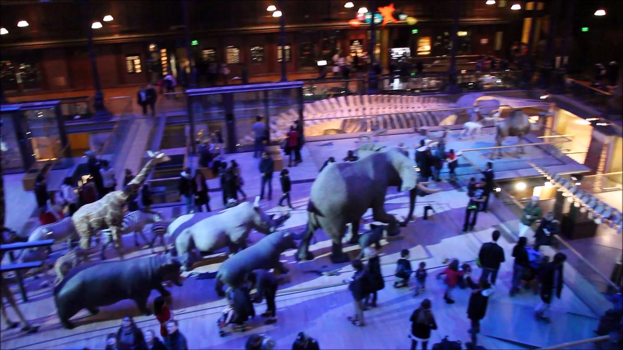 Parcours jeu Citizenkid :  La Nuit au Musée : Le Secret des Pharaons