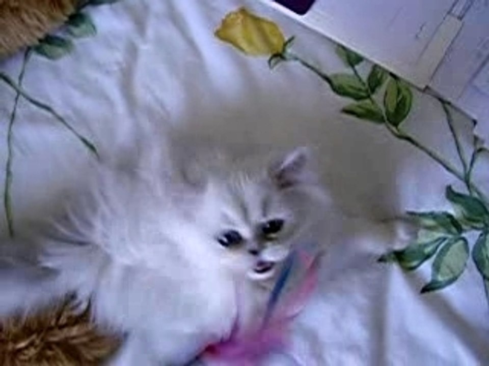 Belle2