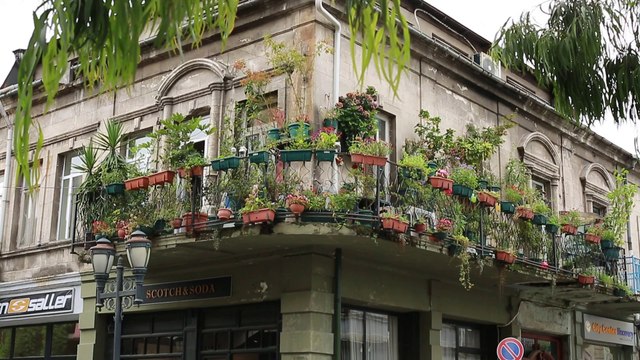 Батуми, жизнь на балконах - В поиске чудесного c Екатериной Кожухарь