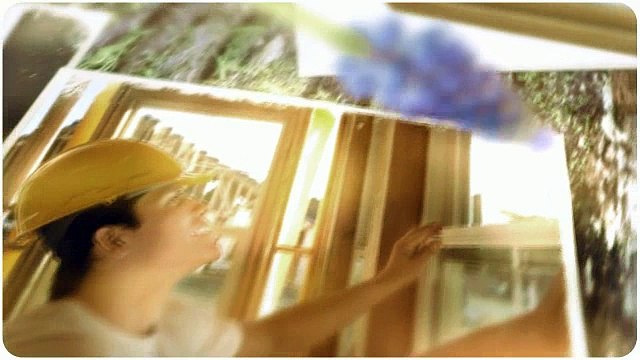 Al Chapman Windows (517) 882-1141