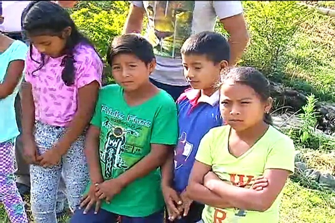 17 de febrero de 2015 Cauca Cómite de Cafeteros.