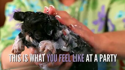 12 Signs You're An Introvert