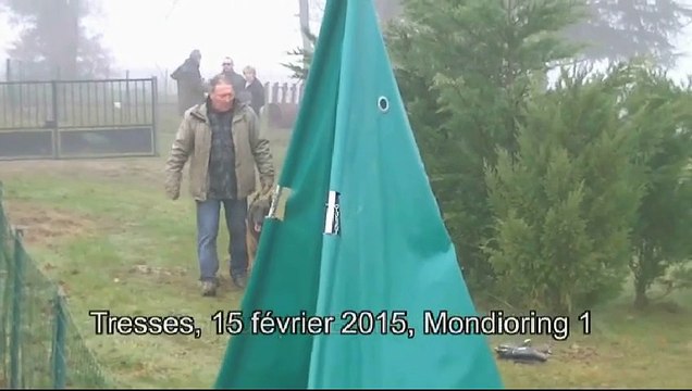 Gadjo à Tresses, 15 février 2015, Mondioring 1