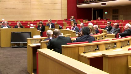 [Entretien] Djihad : la commission d'enquête entend des ambassadeurs européens