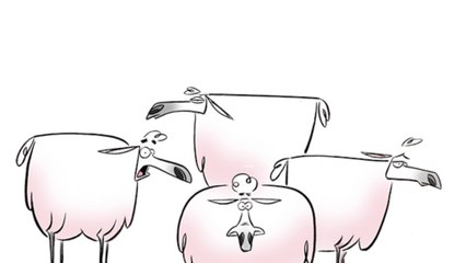 A flock of media sheep