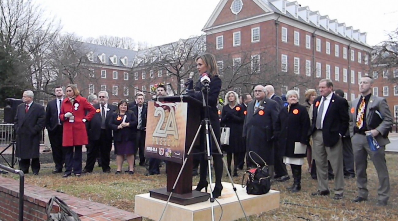 Fox5's Emily Miller: Constitutional amendments are 'human rights'