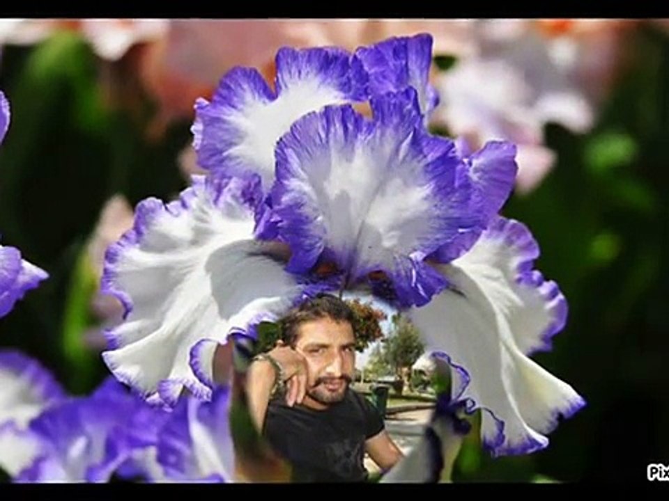 MASOOD ASLAM (2)