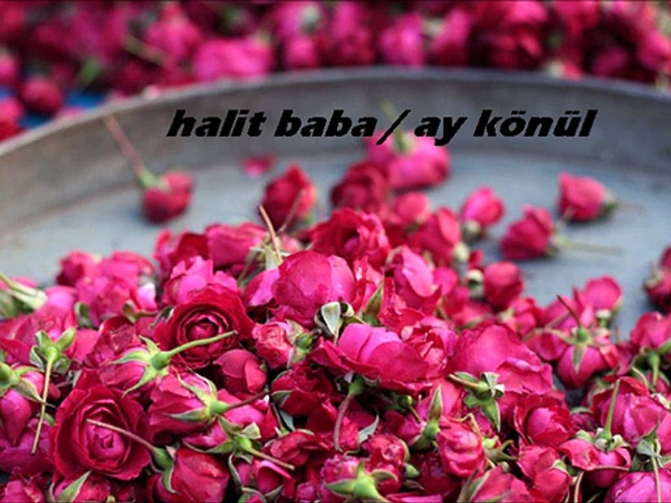 halit baba - ay könül