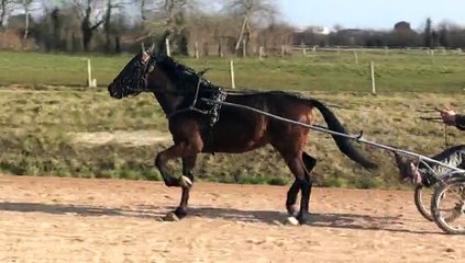 DECLIC ET DREAMING POLE SUR LA PISTE DE STE MARIE