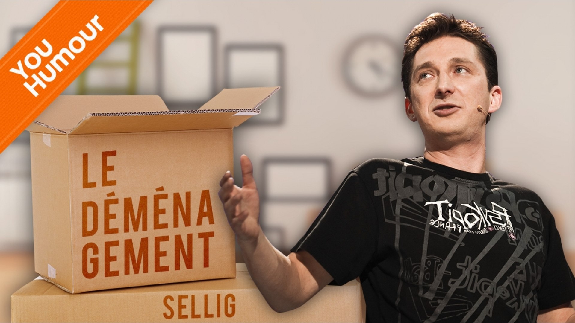 Sellig Le Demenagement Video Dailymotion