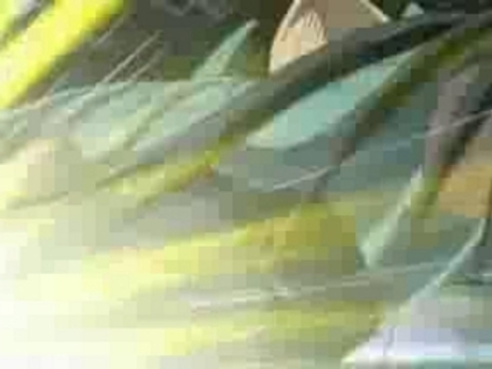 Clips Saint Seiya Hades Amv - Nighwish -