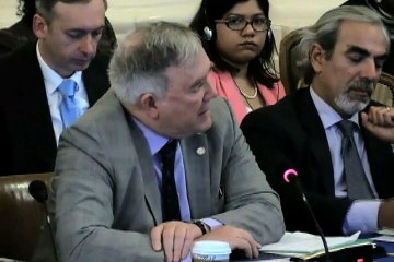 Venezuela pide respeto ante la OEA