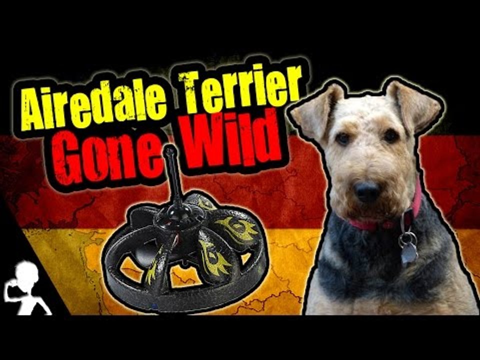 AIREDALE TERRIER GONE WILD | Get Germanized