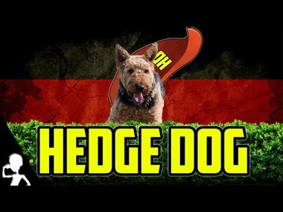 THE ADVENTURES OF HEDGE DOG