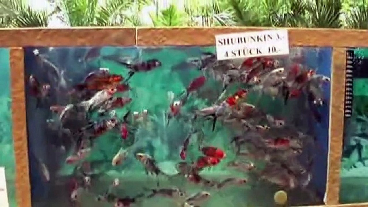 Frühlingsfest bei späth