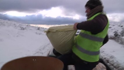 Spil Dağı'nda Doğaya Yem Bırakıldı