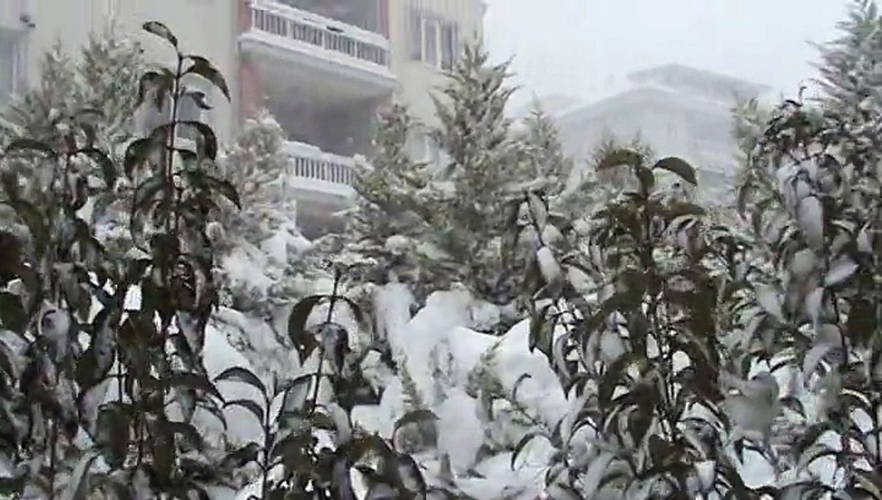İstanbul- sitenin bahçesi-18 Şubat 2015