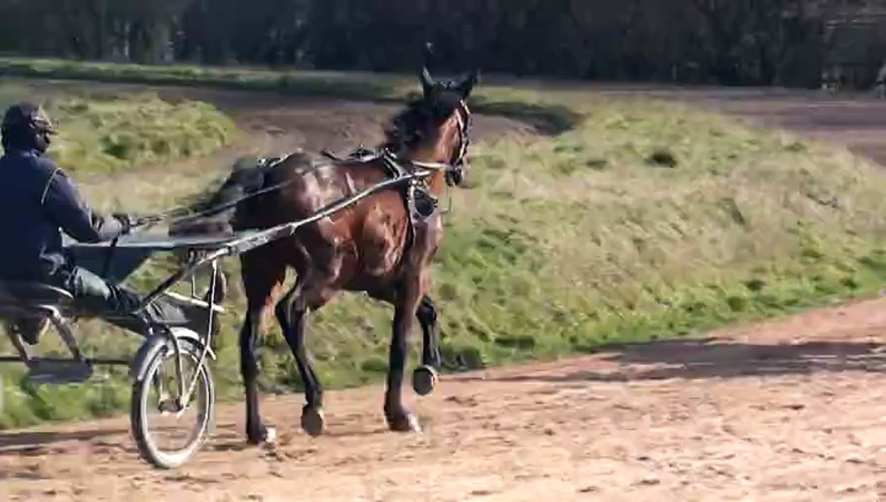 DIAMOND FOR EVER ET DARK CONTINUANT LEUR PREPARATION
