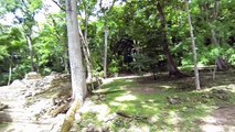 ruinas mayas de copan ( honduras )