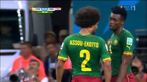 Cameroon football fight - Assou-Ekotto vs. Moukandjo