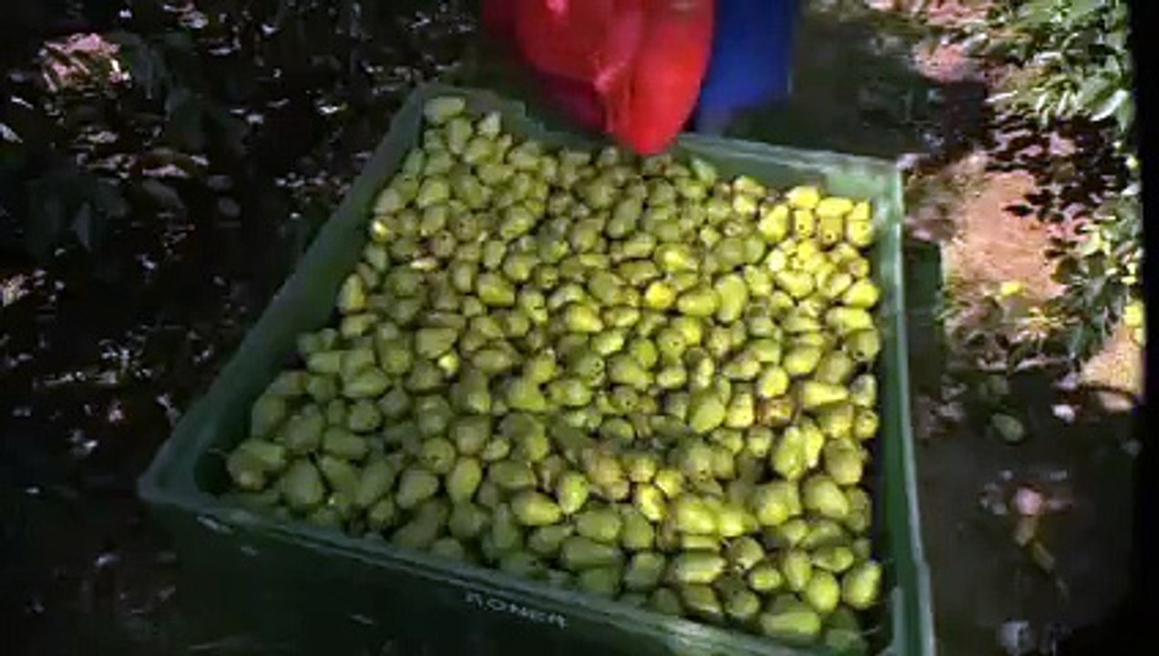 52 Lies Heard in Churches Every Sunday part 1 by Robinson Sadiq Grace Walk Pakistan