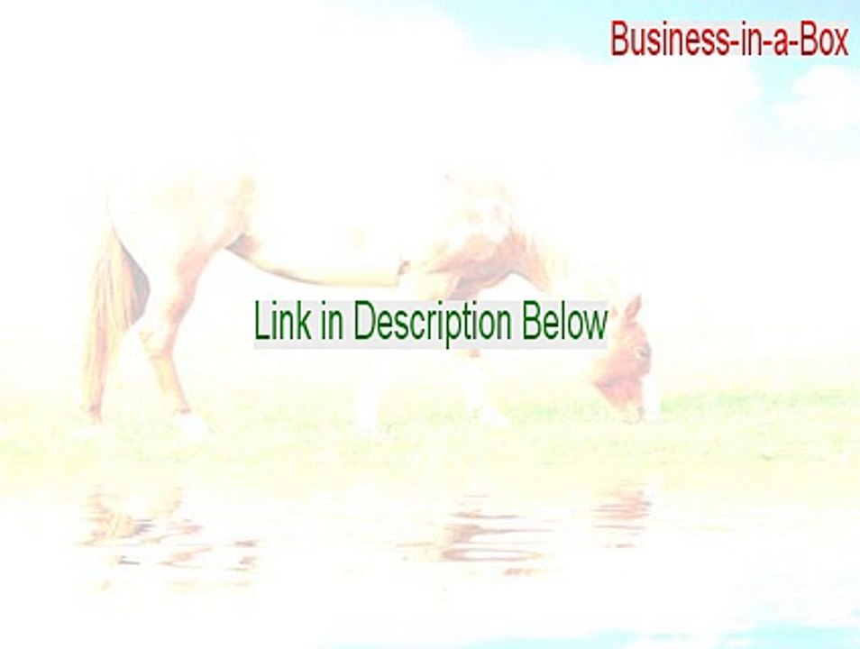 Business-in-a-Box Serial - Legit Download