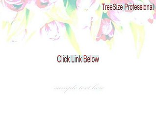 TreeSize Professional Key Gen (Download Here 2015)