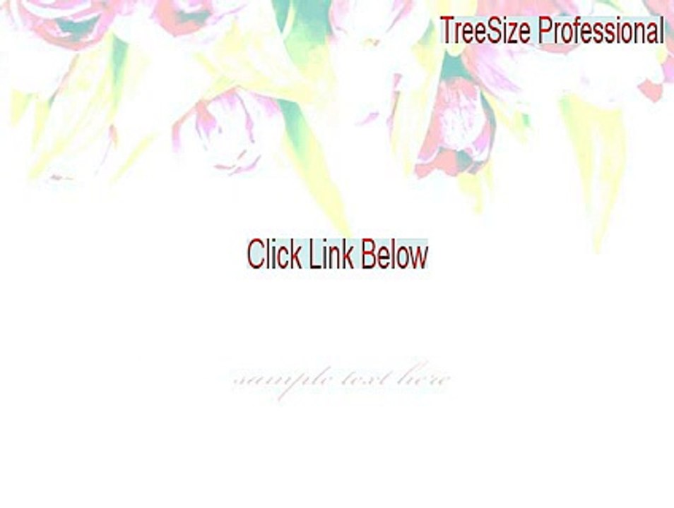 TreeSize Professional Key Gen (Download Here 2015)