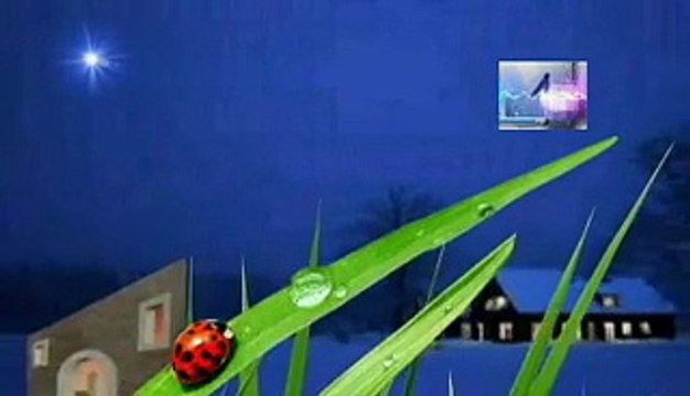 soñar con un bosque lleno de flores y vida, significado de los sueños, español latino